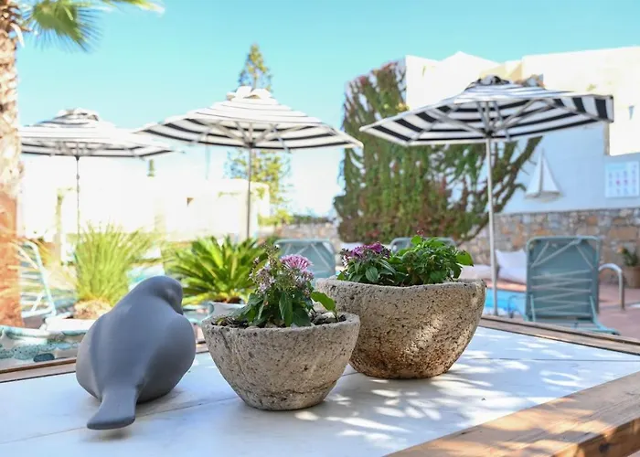 3 sterren hotel: Villa Iokasti